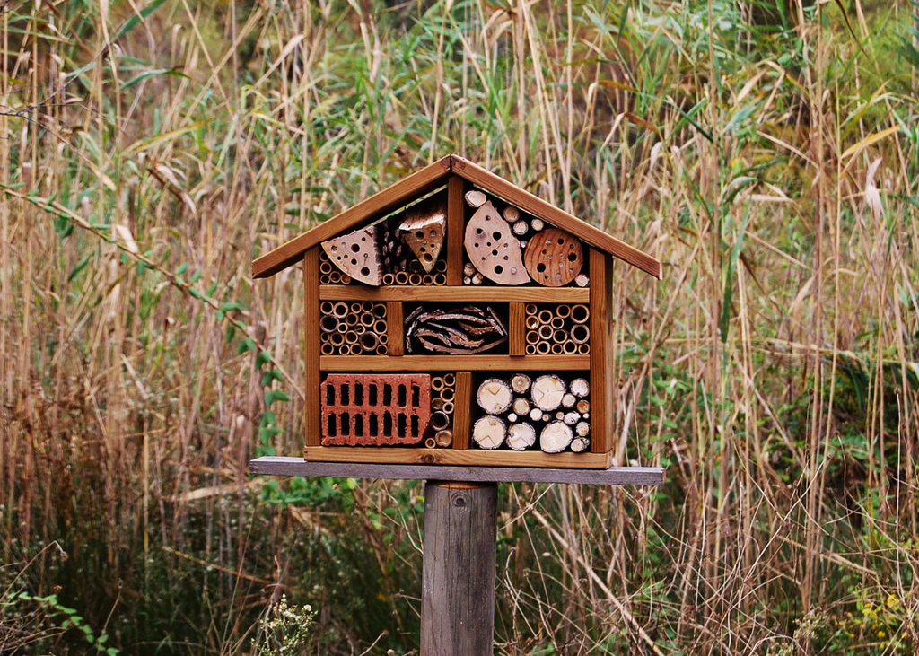 ou installer hotel à insecte