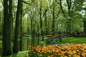 La magie de Keukenhof