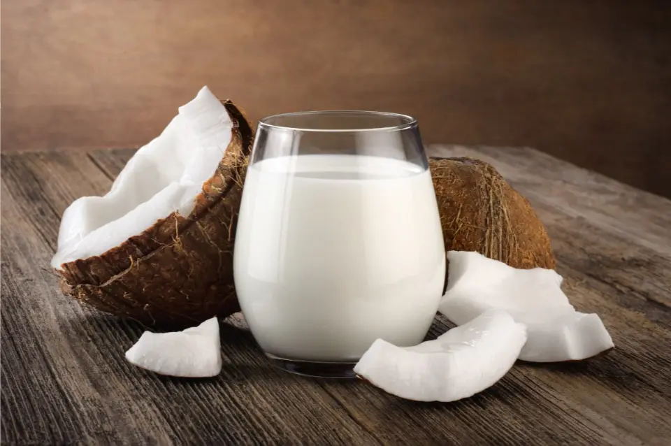 alternatives au lait de coco