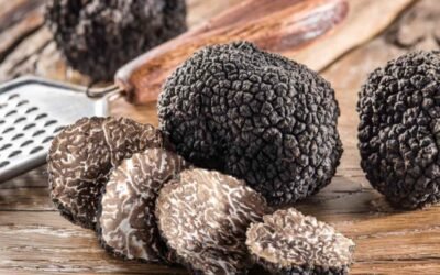 Truffe conservation : L’art de préserver le diamant noir de la gastronomie