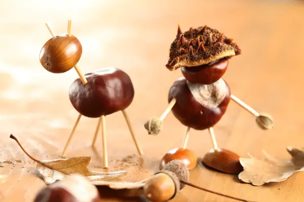 Comment transformer des marrons non comestibles en activités créatives