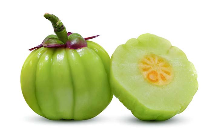 Garcinia