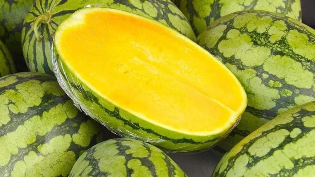 Yellow watermelon