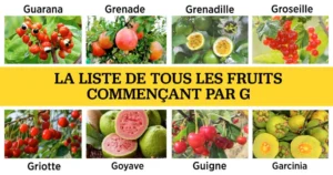 fruits et légumes en G