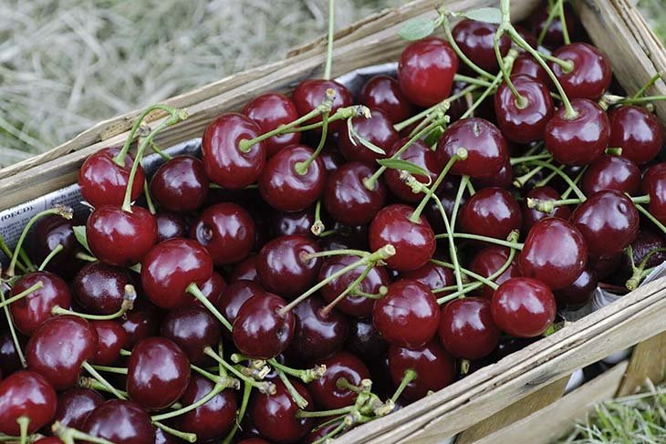 fruits et légumes en G Griotte