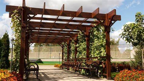 coconut fibre pergola good or bad idea (3)